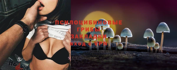 сатива Няндома
