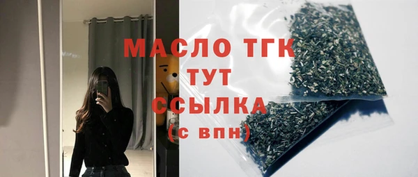 сатива Няндома
