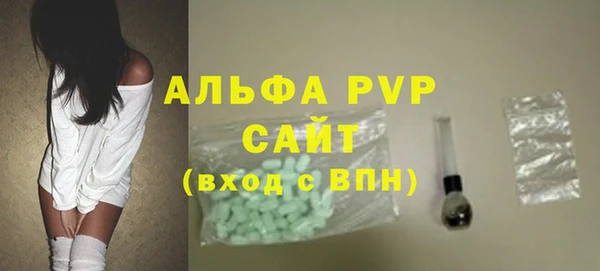 сатива Няндома