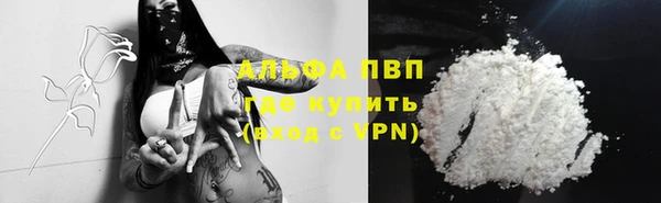 СК Новодвинск