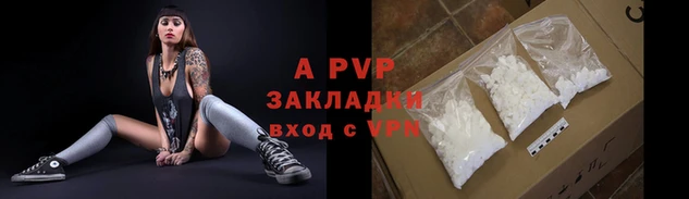 СК Новодвинск