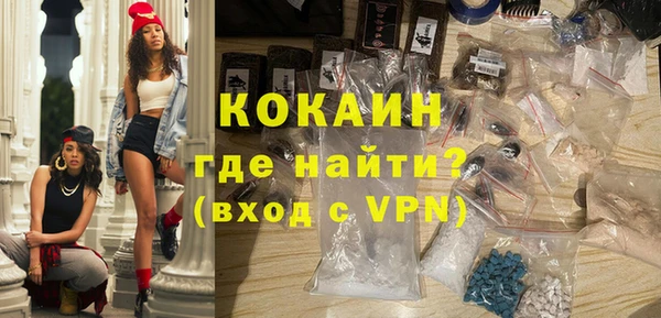 СК Новодвинск